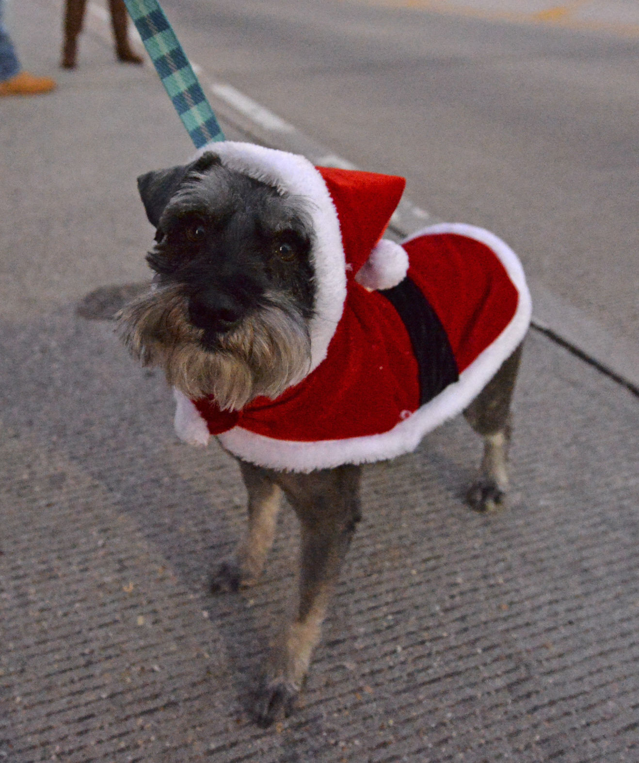 BR.xmasparade.121017 HS 016.JPG